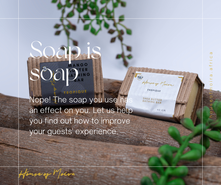 poster declaring "Soap is soap" then disputing it