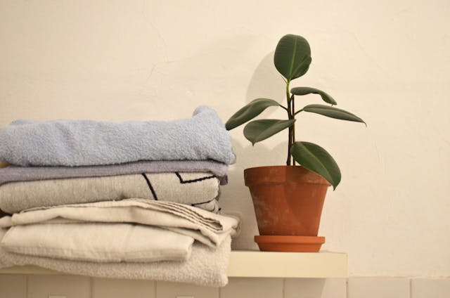 towels next to potted plant
